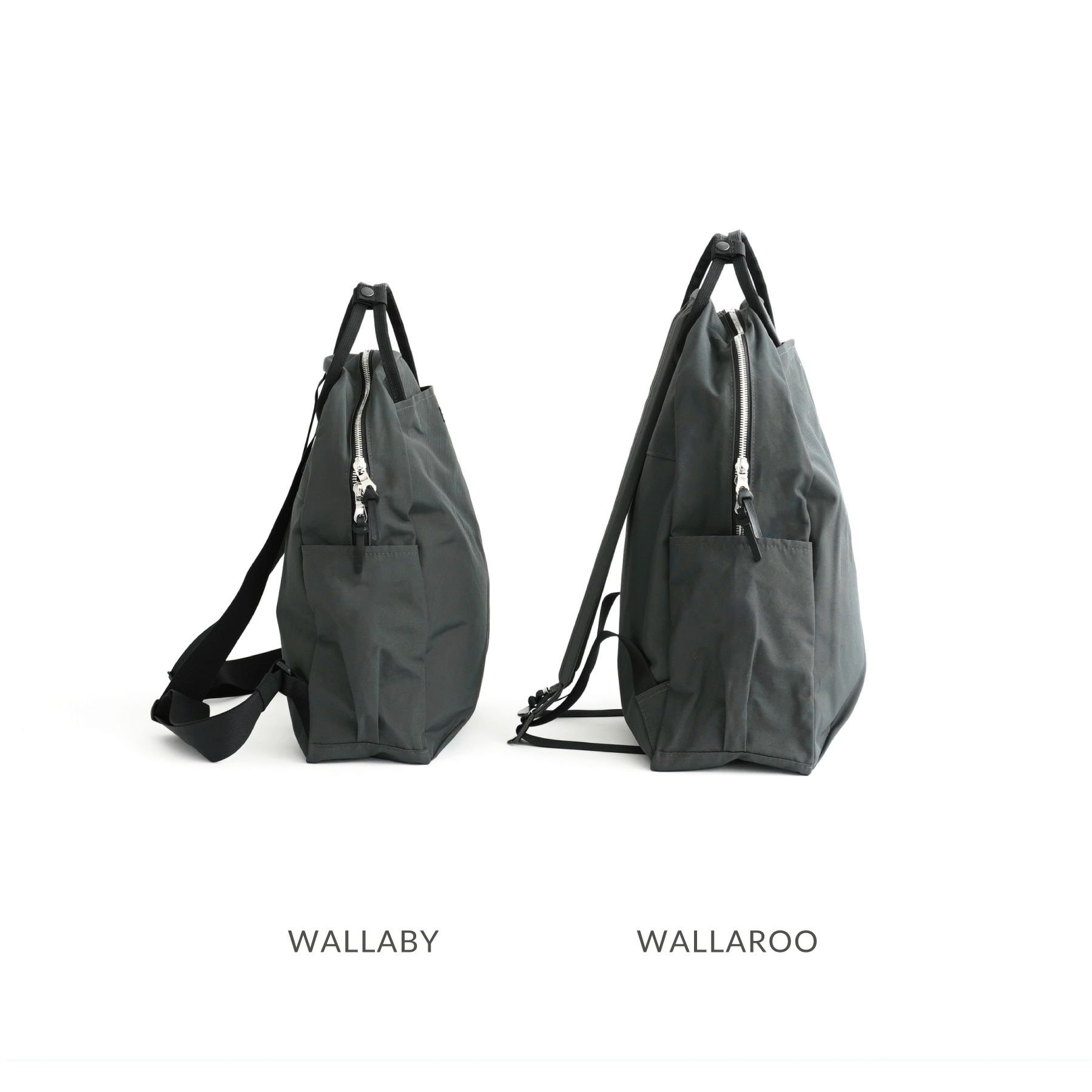 SIMPLICITY WALLAROO ワラルー | evergreen works online store 